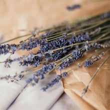 Load image into Gallery viewer, Bulk Dried Lavender Flowers-Extra Grade
